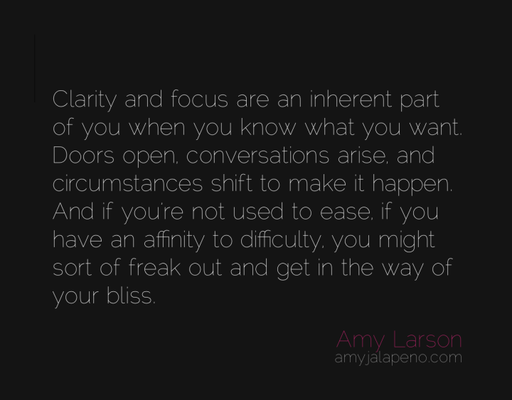 bliss-want-focus-clarity-ease-amyjalapeno